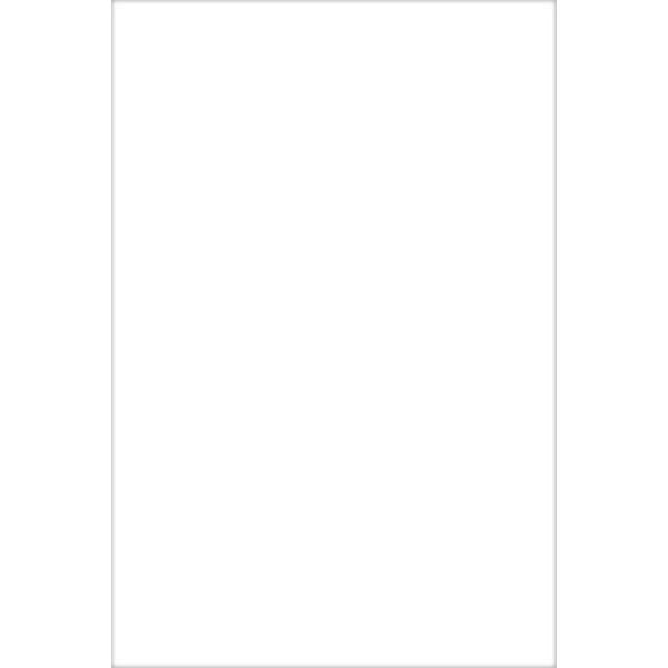 ПК250х400 Парус белый блестящий 