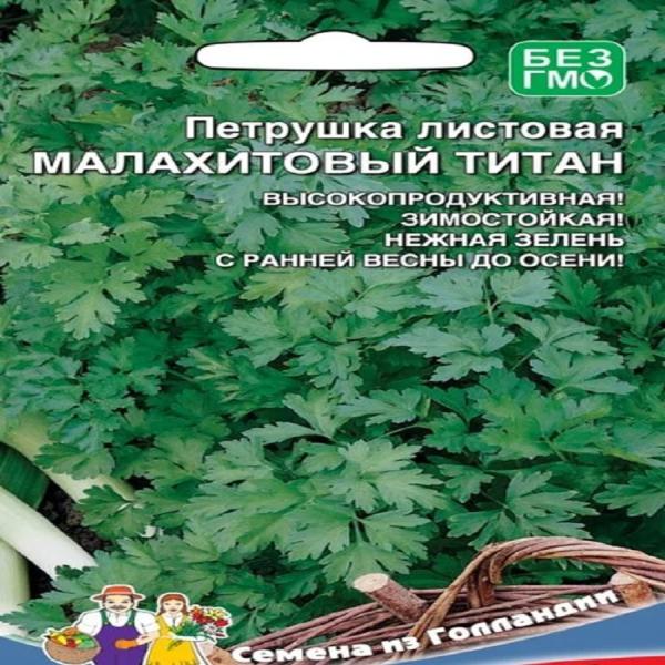 Петрушка листовая Малахитовый титан 2г Русский огород