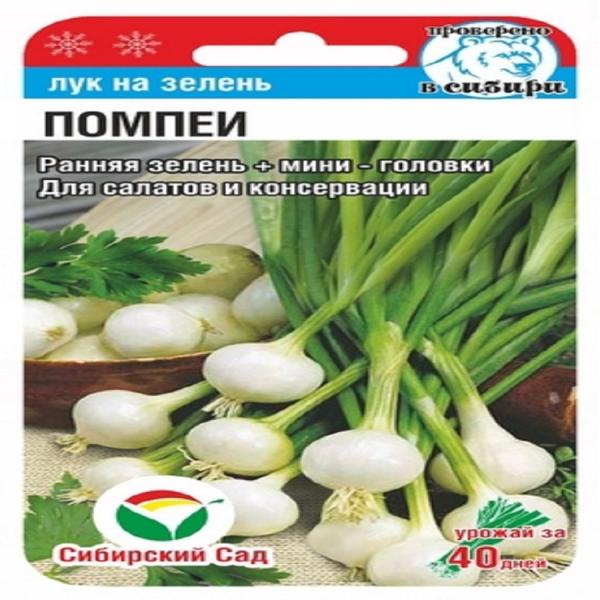 Лук на зелень Помпеи 0,5гр Сибирский сад