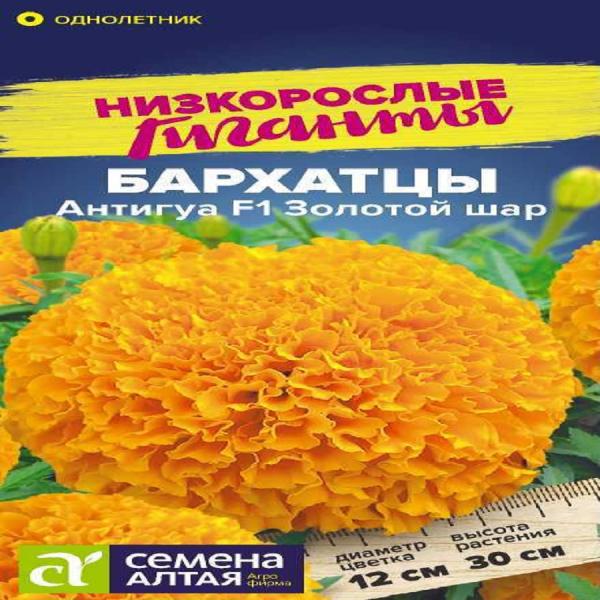 Бархатцы Антигуа Золотой шар 5 шт низкорослые гиганты Алтай