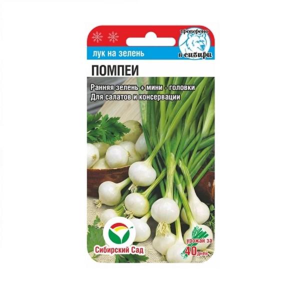 Лук на зелень Помпеи 0,5гр Сибирский сад