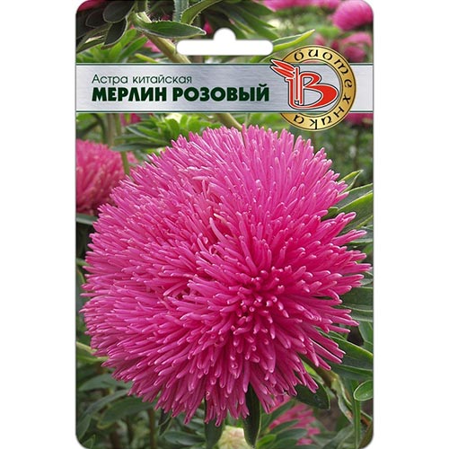 Астра Мерлин Розовый Биотехника Астра Мерлин Розовый Биотехника