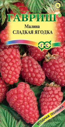 Малина Сладкая ягодка Гавриш
