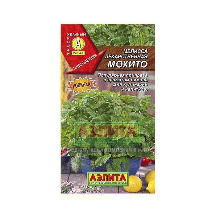 Семена Аэлиты Купить