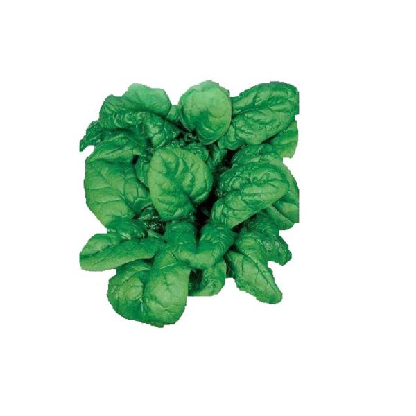 Шпинат Для заморозки 3 г Седек