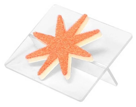 Штамп для декора звезда t4p