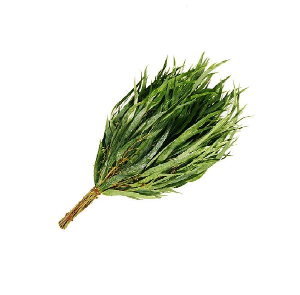 Веник ЭВКАЛИПТОВЫЙ в индивидуальной упаковке