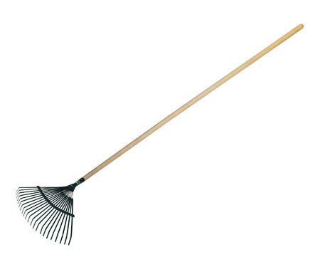 Грабли веерные пластинчитые ГВПл-01Д Флорис с деревянным черенком