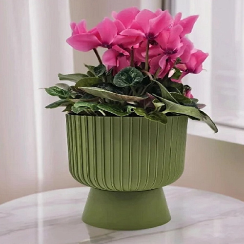 Кашпо Бекер 2,8л папоротник