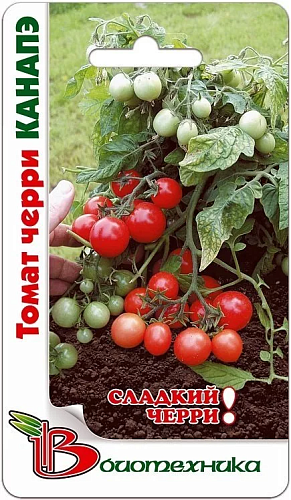 Томат Черри-Канапэ Биотехника