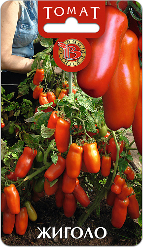 Томат Жиголо Биотехника