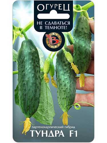 Огурец  Тундра F1 Биотехника