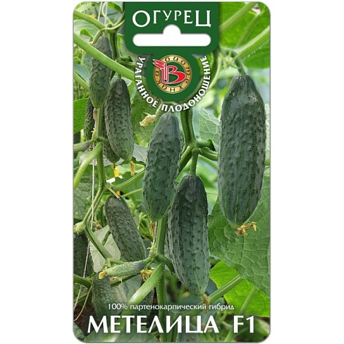 Огурец  Метелица F1 Биотехника Огурец  Метелица F1 Биотехника
