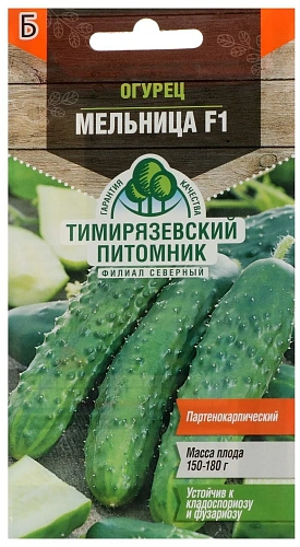 Огурец Мельница F1 Тимирязевский питомник