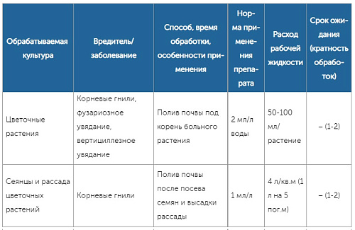 Фунгицид Максим Дачник 2мл протравитель луковичных от  гнили