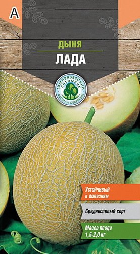 Дыня Лада средняя   1гр Тимирязевский питомник