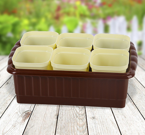 Ящик для рассады Дом и Дача 247х166х82 на 6 стаканчиков