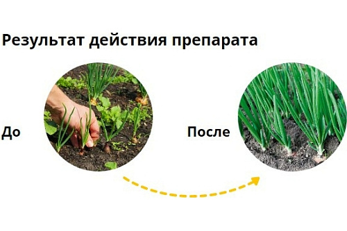 Гербицид Август Миура для овощных грядок 4мл