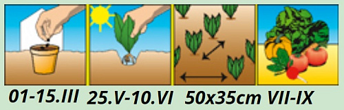 Перец острый Ереванский Аэлита