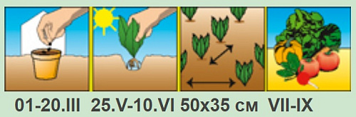 Перец острый Язык Дракона 0,2г АЭЛИТА