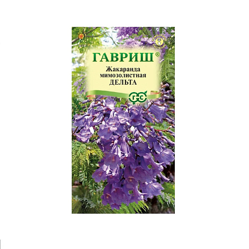 Жакаранда Дельта 3 шт Гавриш