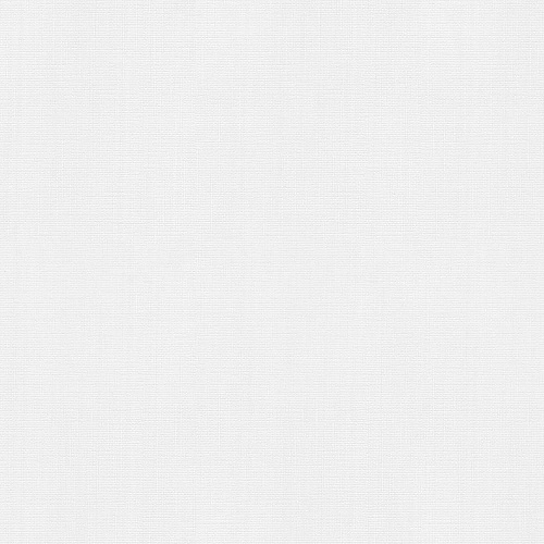 Обои под покраску 25 ВВ ФО Палитра 4024-01