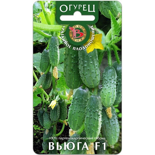 Огурец Вьюга F1 Биотехника