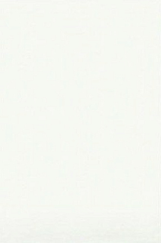 ПК200х300 Белая премиум V2 глянцевый Шахты