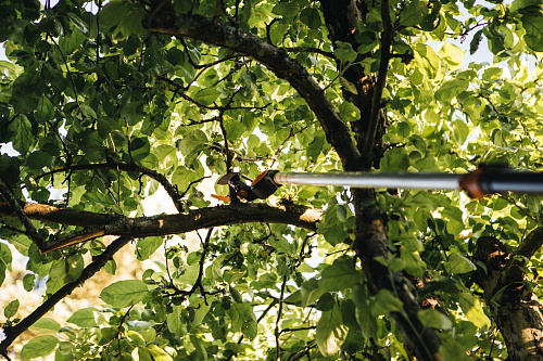 Сучкорез-высоторез FISKARS 1650мм с телескопической ручкой PowerGear UPX82