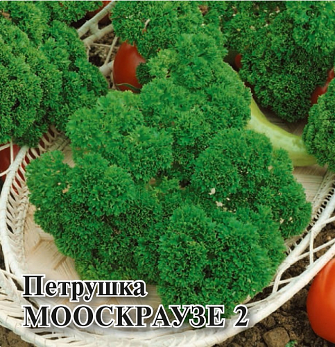 Петрушка кудрявая Мооскраузе 2 Тимирязевский питомник Петрушка кудрявая Мооскраузе 2 Тимирязевский питомник