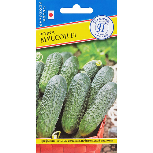 Огурец Муссон F1  Престиж