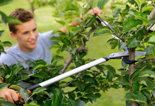Сучкорез плоскостной малый  FISKARS 570мм PowerGear LX92