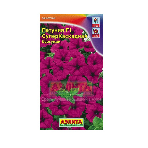 Петуния суперкаскадная  F1 бургунди