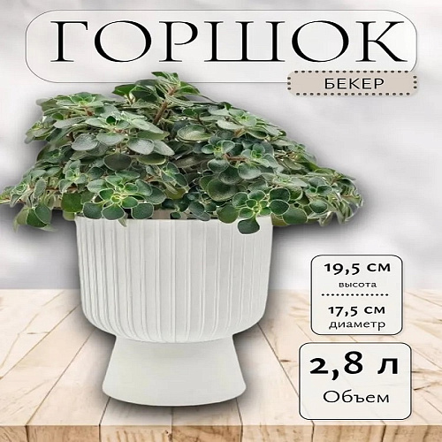 Кашпо 2,8л Бекер белый