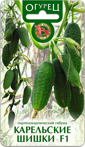 Огурец Карельские шишки F1 Биотехника