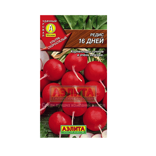 Редис 16 дней Аэлита Редис 16 дней Аэлита