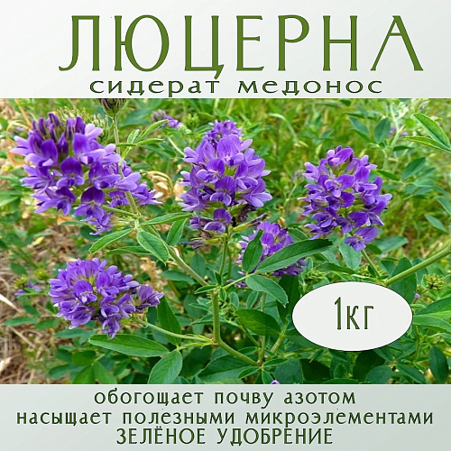 Сидерат Люцерна 1кг