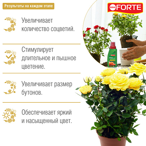 УМЖ для всех видов роз и хризантем БонаФорте 285мл