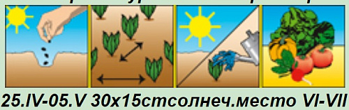 Горох Шестинедельный Аэлита