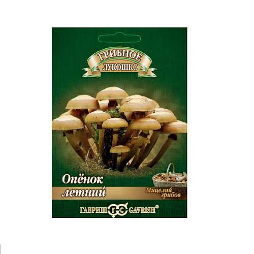 Грибы Опенок летний 12 шт Гавриш