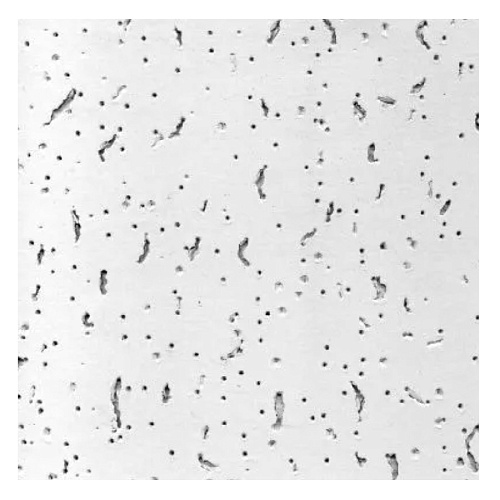 Потолочная плита Матрикс 600х600х8мм (1шт)