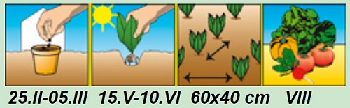 Баклажан Боярин F1 Аэлита 0.2 гр
