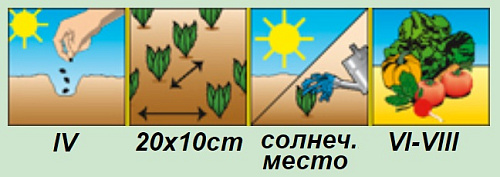 Салат Китеж 0,5г Аэлита