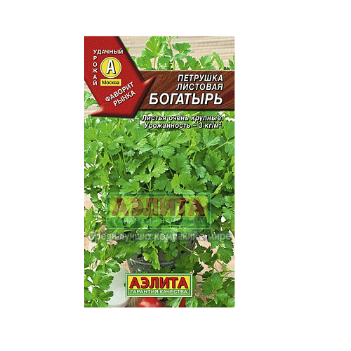 Петрушка листовая Богатырь Тимирязевский питомник Петрушка листовая Богатырь Тимирязевский питомник