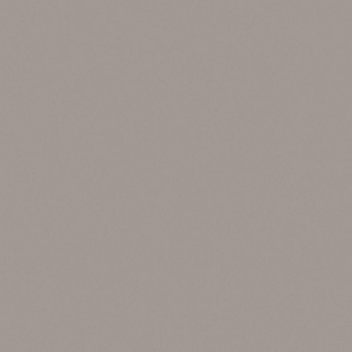 КГ300х300 RW 03 Неполированный 