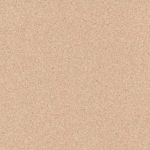 Линолеум TARKETT Primo Plus 302n (2м) T004204