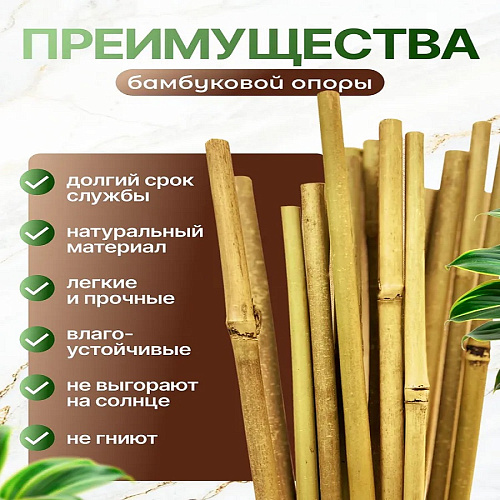 Опора бамбуковая натуральная 120см