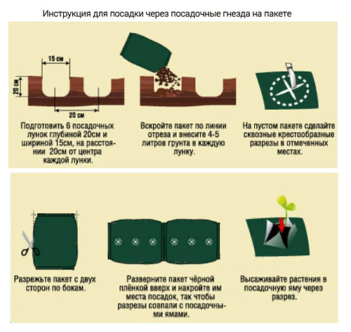 Почвогрунт специализированный  для клубники и земляники Фаско 25л